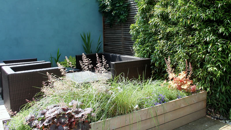 Courtyard Garden Design London Ginkgo Portfolio