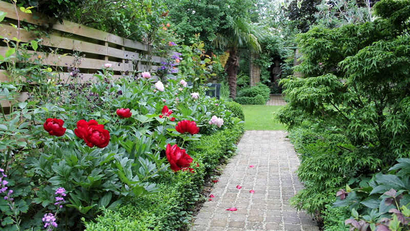 family garden designers london ginkgo portfolio family garden designers london ginkgo portfolio