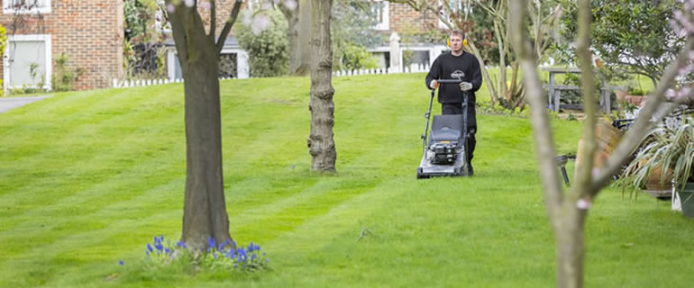 turfing-planting-irrigation-london